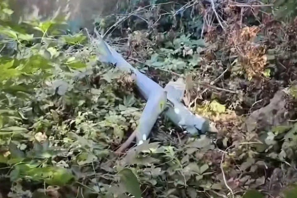 Над ДНР за сутки уничтожили 20 дронов ВСУ. Фото (архив): Соцсети Главы ДНР