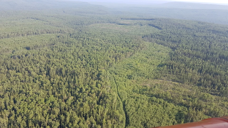 На Камччатке пропали супруги, спасатели выехали на поиски.