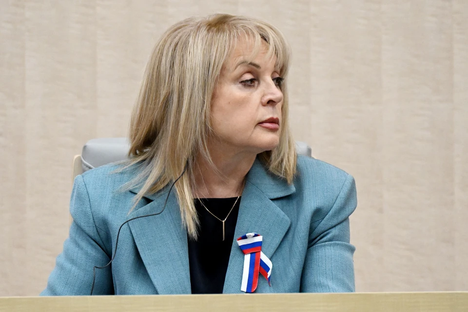 Памфилова: 15 наблюдателей на выборах в восьми регионах пришлось удалять по суду