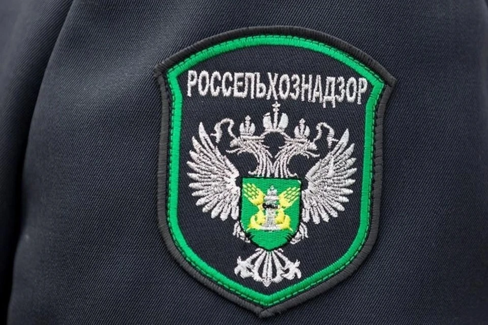 Обращение жителя помогло вовремя предотвратить ущерб сельхозугодьям и вернуть землю в оборот. Фото: Управление Россельхознадзора по Тверской и Ярославской областям.