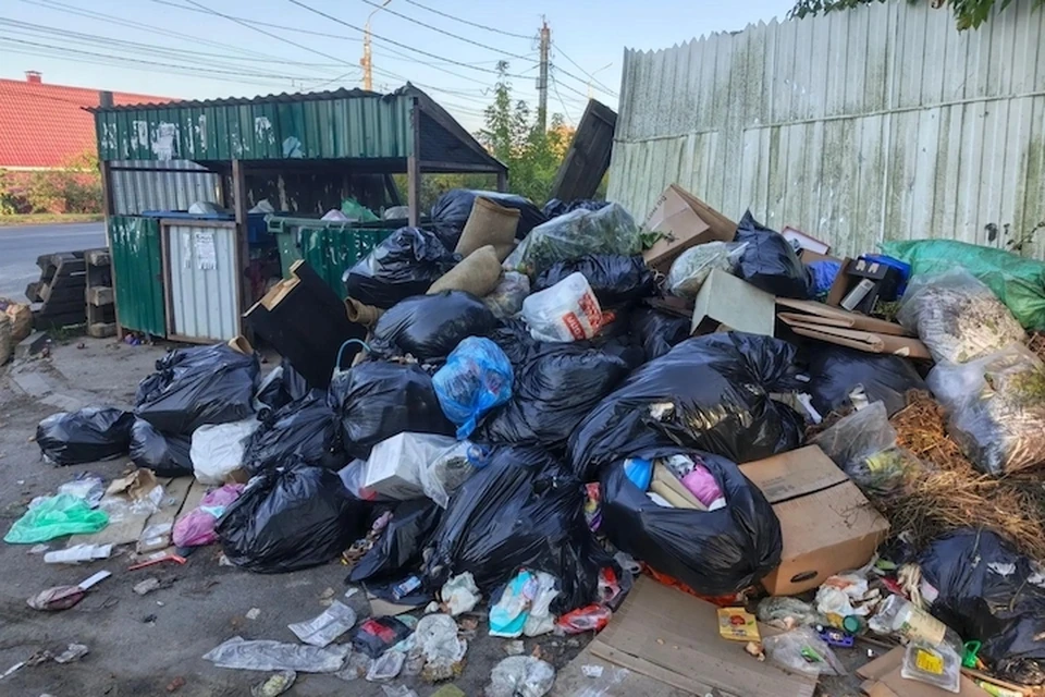 Фото: Брянская городская администрация.