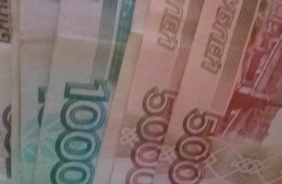 Воронежская область улучшила свои позиции в рейтинге по уровню доходов населения: наш регион поднялся на три строчки и занял 51-е место.
