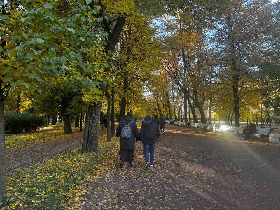 В Тюмени 23 сентября ожидается до +16°C и кратковременный дождь утром.