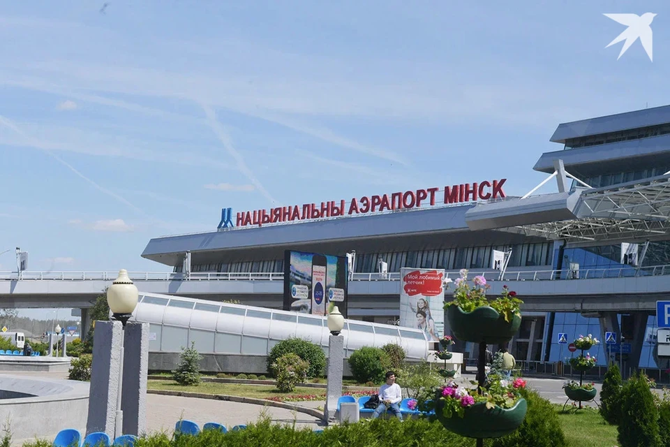 Медведей заметили неподалеку от Национального аэропорта «Минск». Снимок носит иллюстративный характер.