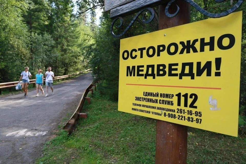 В Онгудайском и Турочакском районах действует режим повышенной готовности