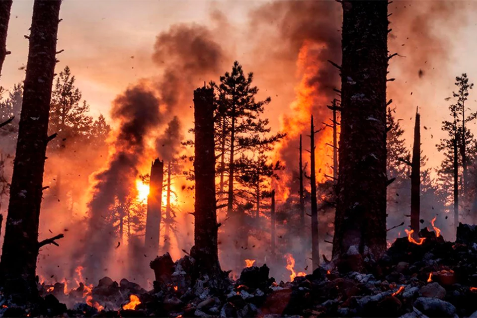 Фото: сгенерировано нейросетью