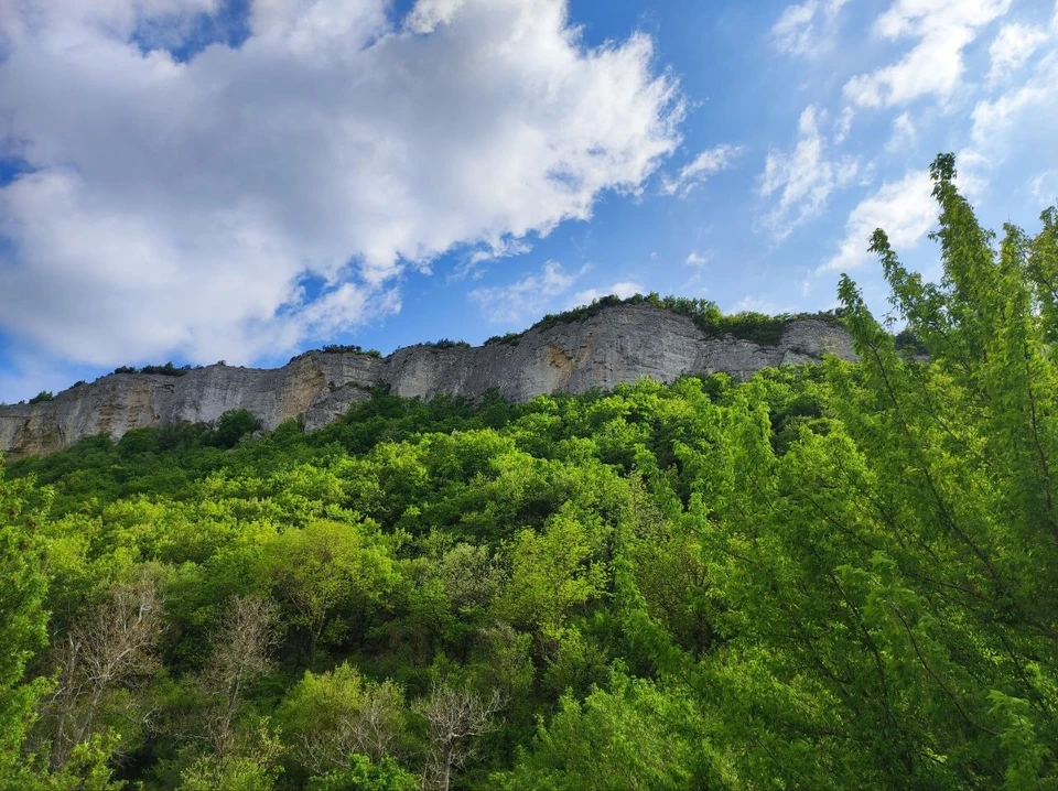 В Крыму не стали продлевать ограничение на посещение лесов