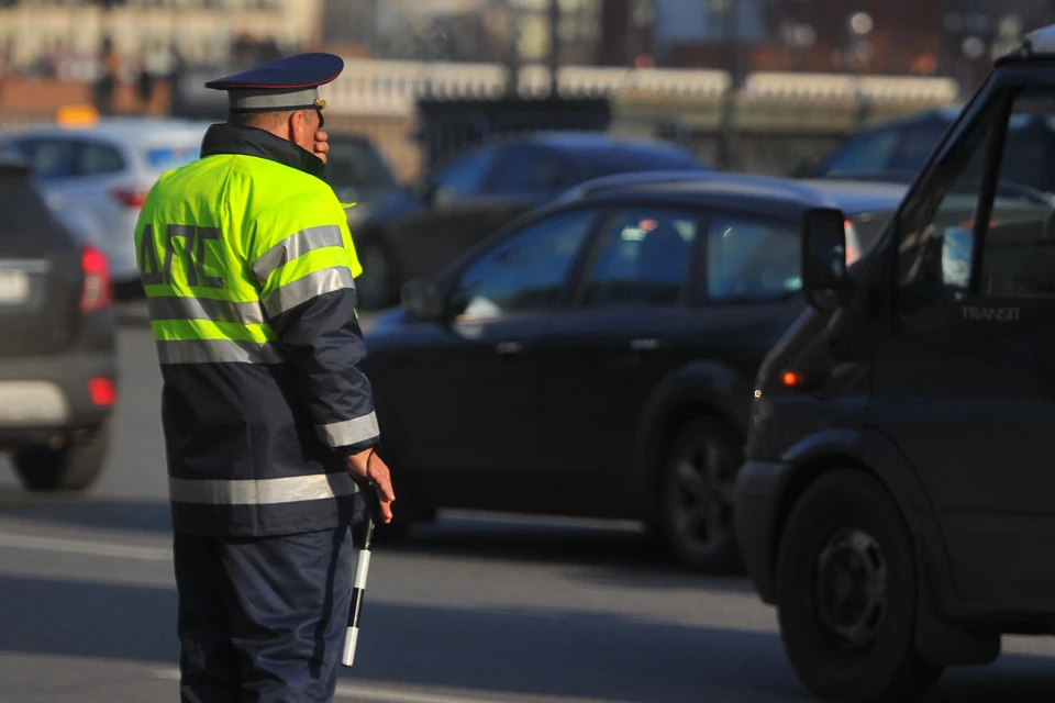 Фото: Евгения ГУСЕВА