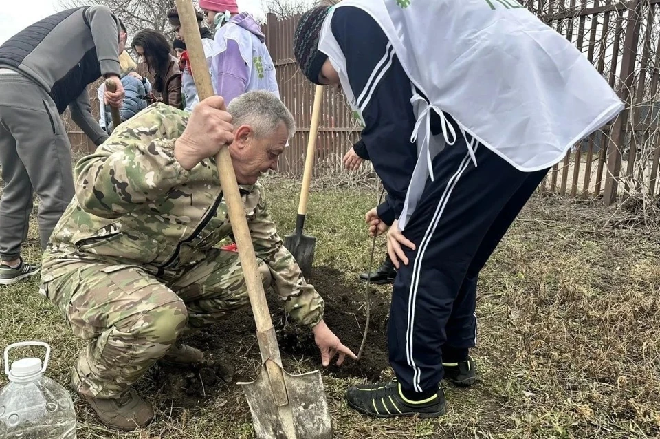 В поселке Стройдеталь Калининского района Донецка высадили молодые деревья. Фото: Минприроды ДНР