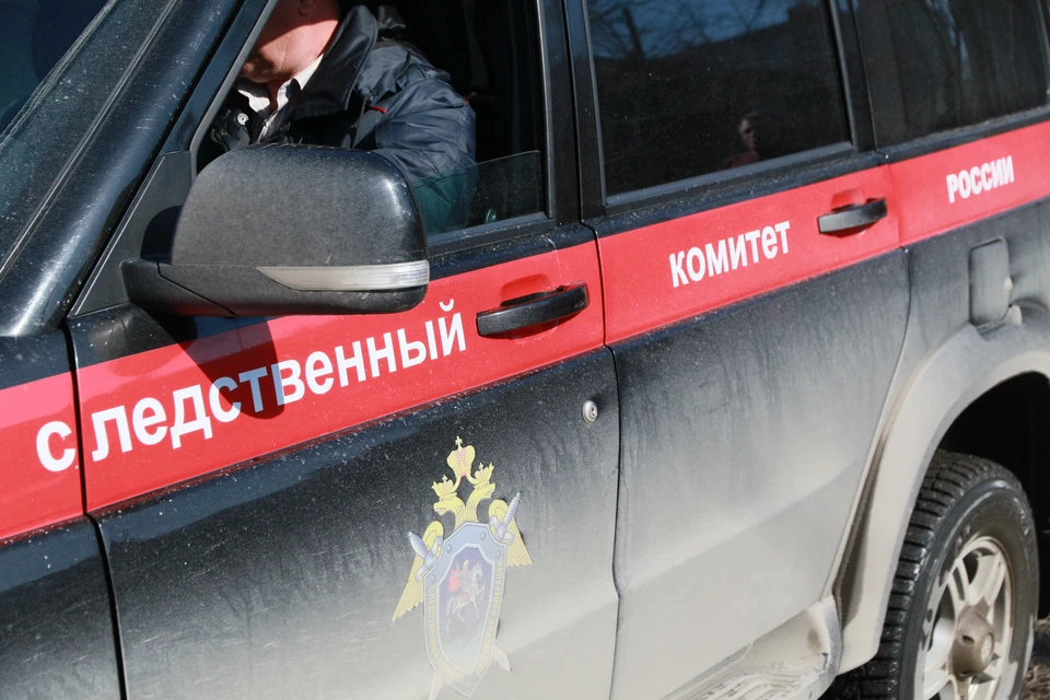 Дело завели по ч. 1 ст. 109 УК РФ