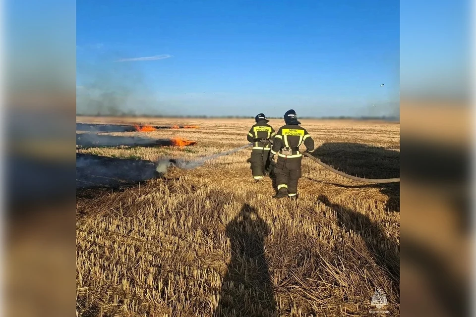 230 пожаров потушили в регионе с начала противопожарного режима. Фото: ГУ МЧС России по Запорожской области