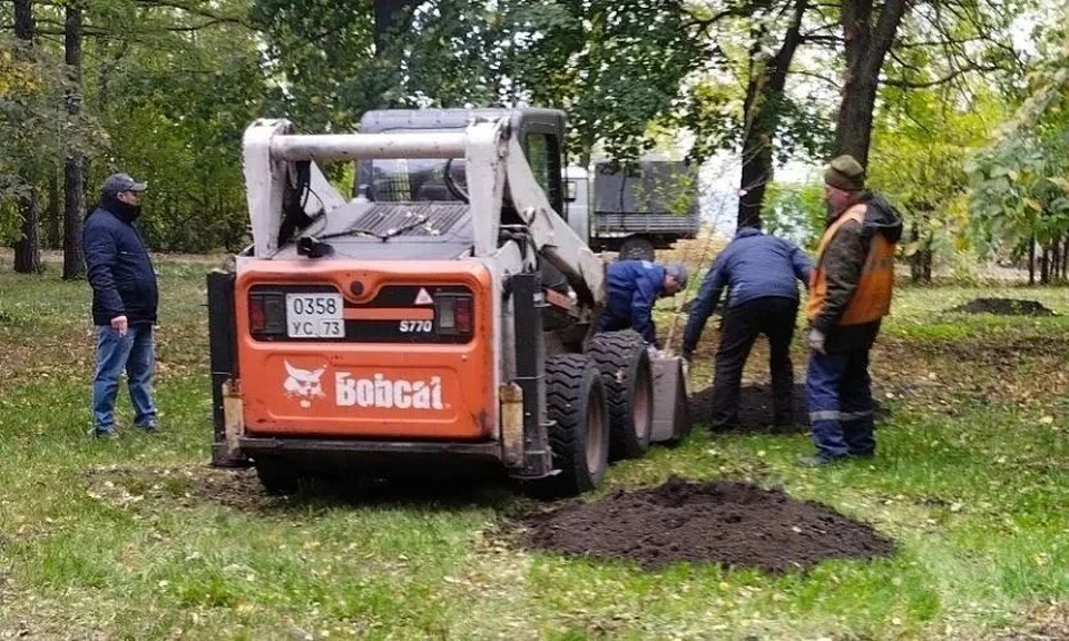 В ульяновском сквере «Северный Венец» высадили липы и рябины. ФОТО: Центр по благоустройству и озеленению Ульяновска