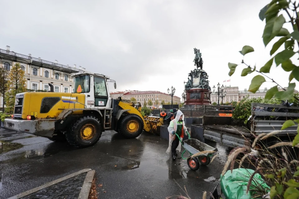 Всего в этом году в саду насчитывается 1321 кустарник и 355 деревьев. Фото: Смольный