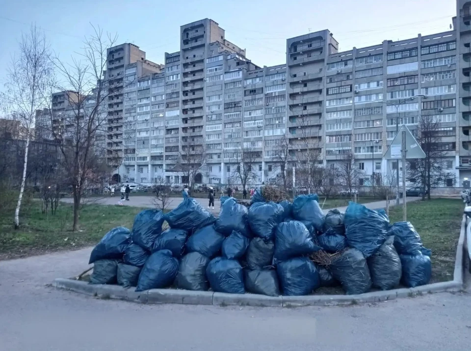 Уборка продлится до 6 ноября