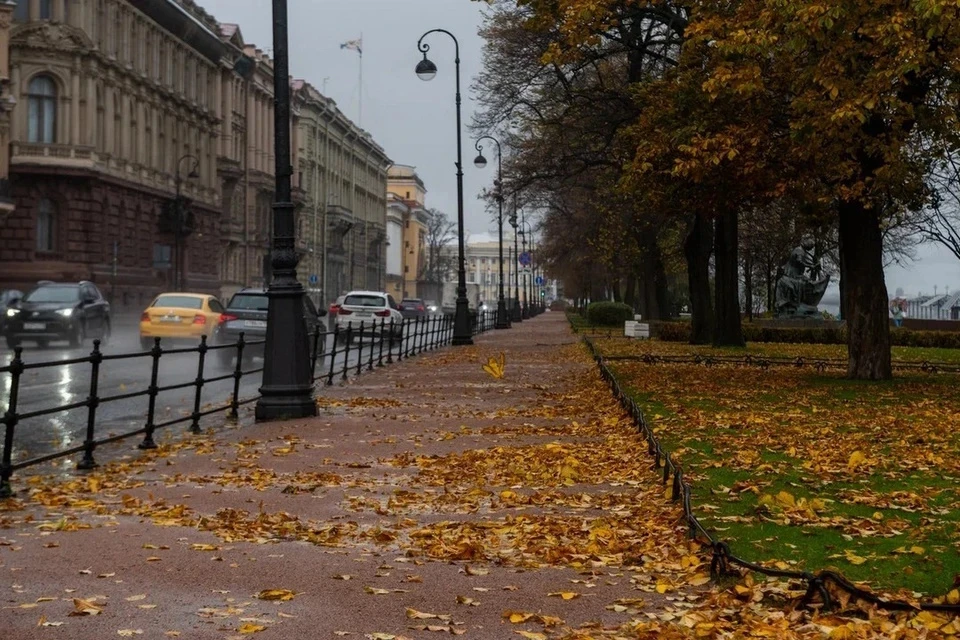 Облачно с прояснениями и небольшой дождь ожидаются в Москве 9 октября 2026 года