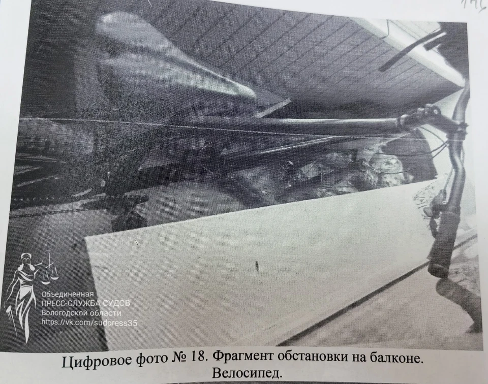 Фото: пресс-служба судов ВО