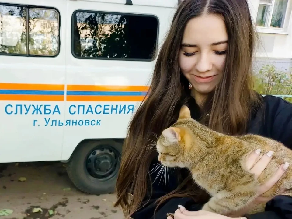 В Засвияжском районе Ульяновска спасатели сняли застрявшего на дереве кота | ФОТО: Управление гражданской защиты Ульяновска