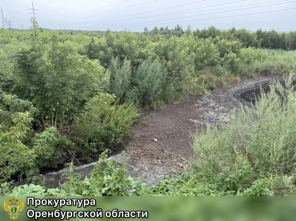 Районный суд обязал предприятие прекратить сбор и размещение отходов на соответствующем земельном участке и разработать проект его рекультивации