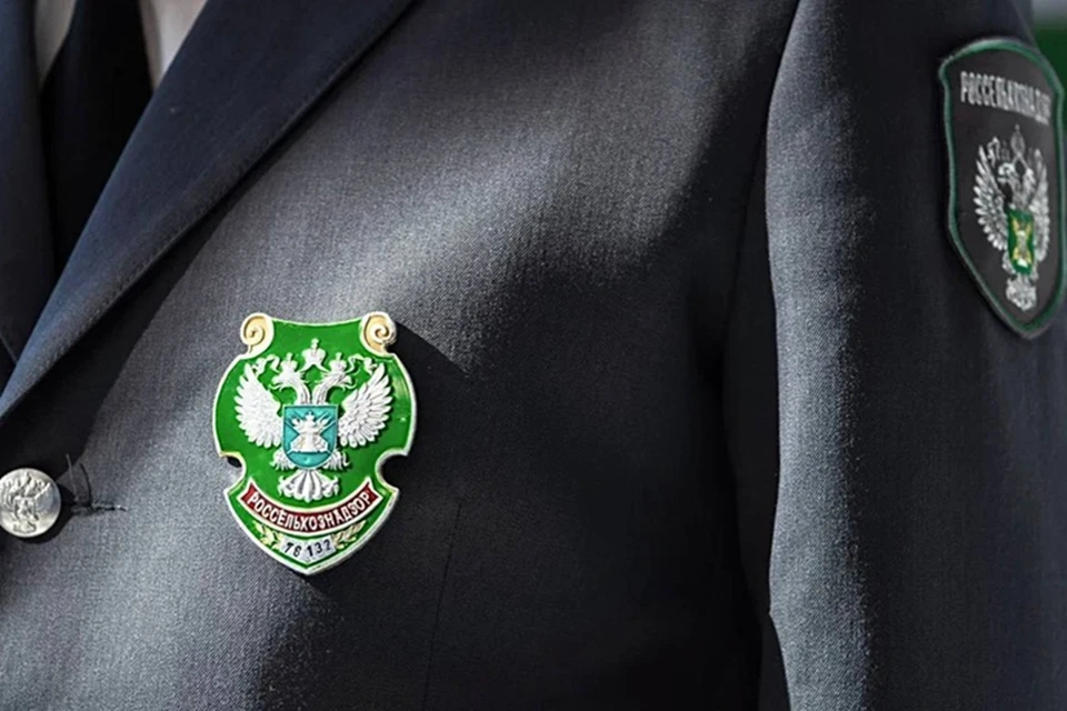 В Мариуполе Россельхознадзор проверяет оформление документов на 69 попугаев, которых пытались вывезти в Аксай. Фото: Россельхознадзор