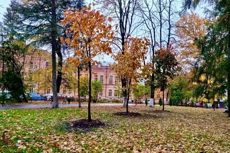 Фото: пресс-служба Брянской городской администрации.