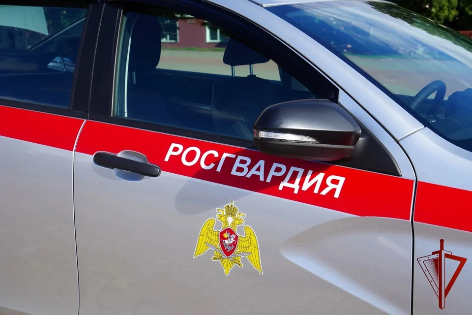 Росгвардейцы пресекли 50 нарушений.