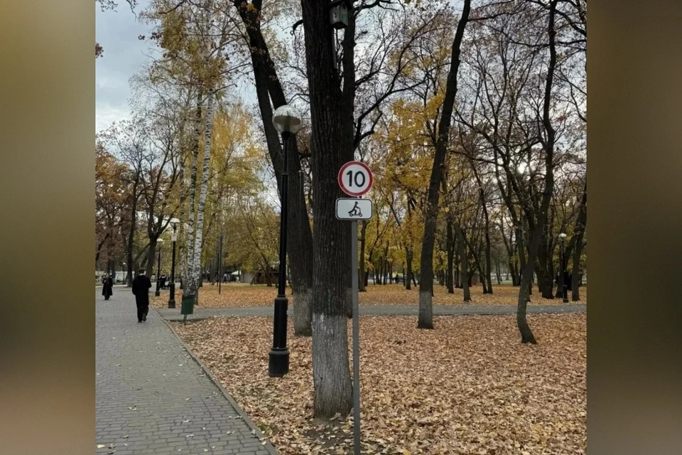 Соблюдение скорости будет контролироваться, в основном через сервисы аренды / Фото: Евгений Щекин