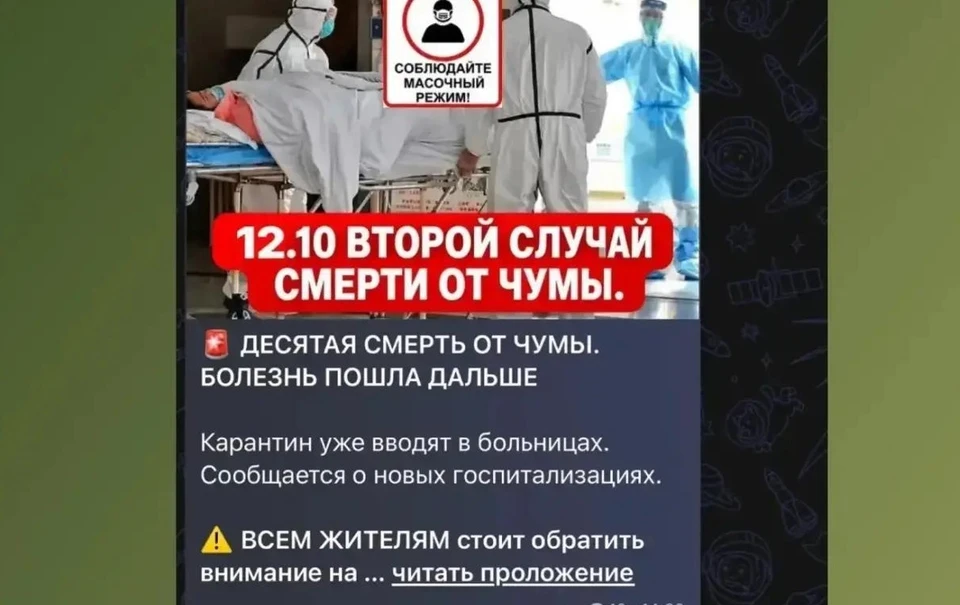 Фото из канала в МАКС «Война с фейками. Воронежская область».