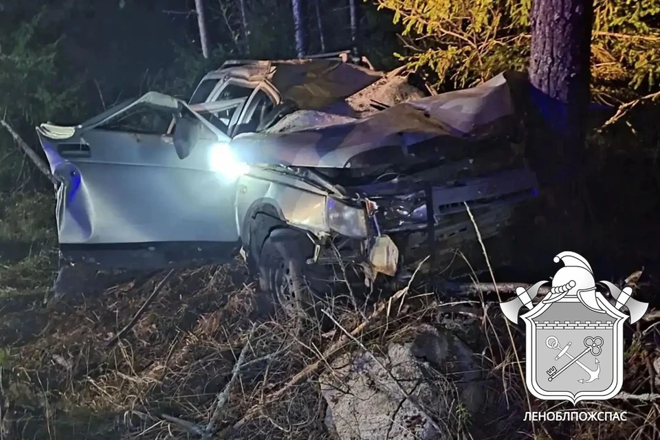 В Приозерском районе автомобиль сбил лося, съехал в кювет и врезался в дерево. Фото: Леноблпожспас
