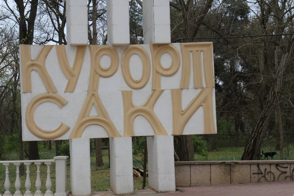 Город Саки