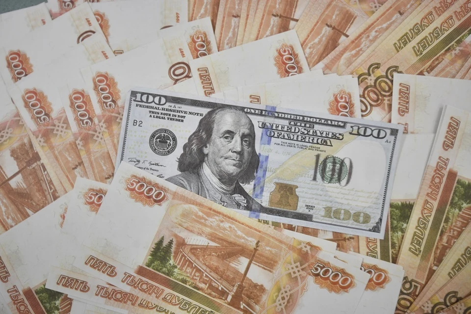 Пенсионер заявил, что не знал о необходимости декларировать суммы выше 10 тысяч долларов