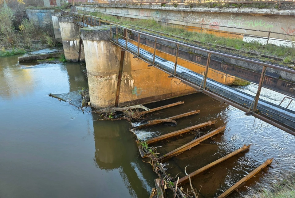 Фото: Прокуратура Владимирской области