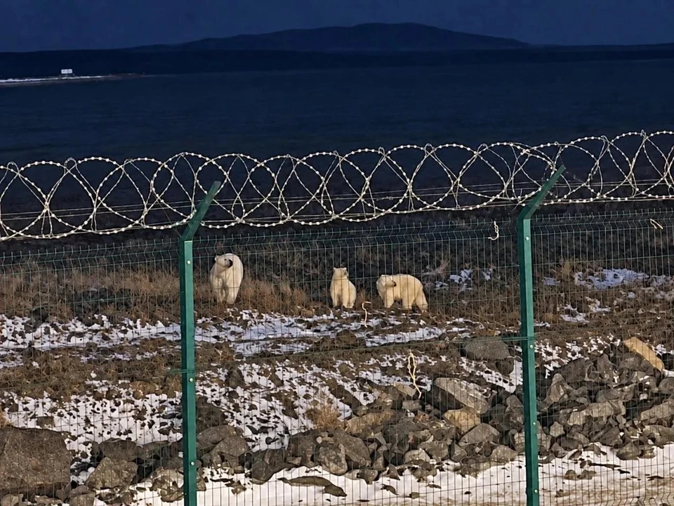 Фото: Центр Корпоративной Медицины (группа в "ВК")