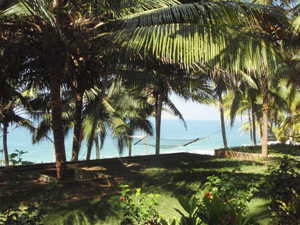 Россиянин получил год тюрьмы в Индии за просроченную визу