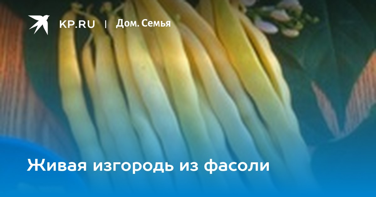 Проростки маш фасоли с доставкой на дом в Перми - интернет магазин Живой выбор