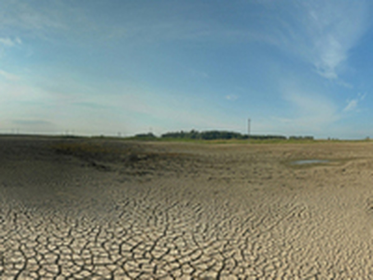 За лето в Кировской области украли пруд, водонапорную башню и лошадь - KP.RU