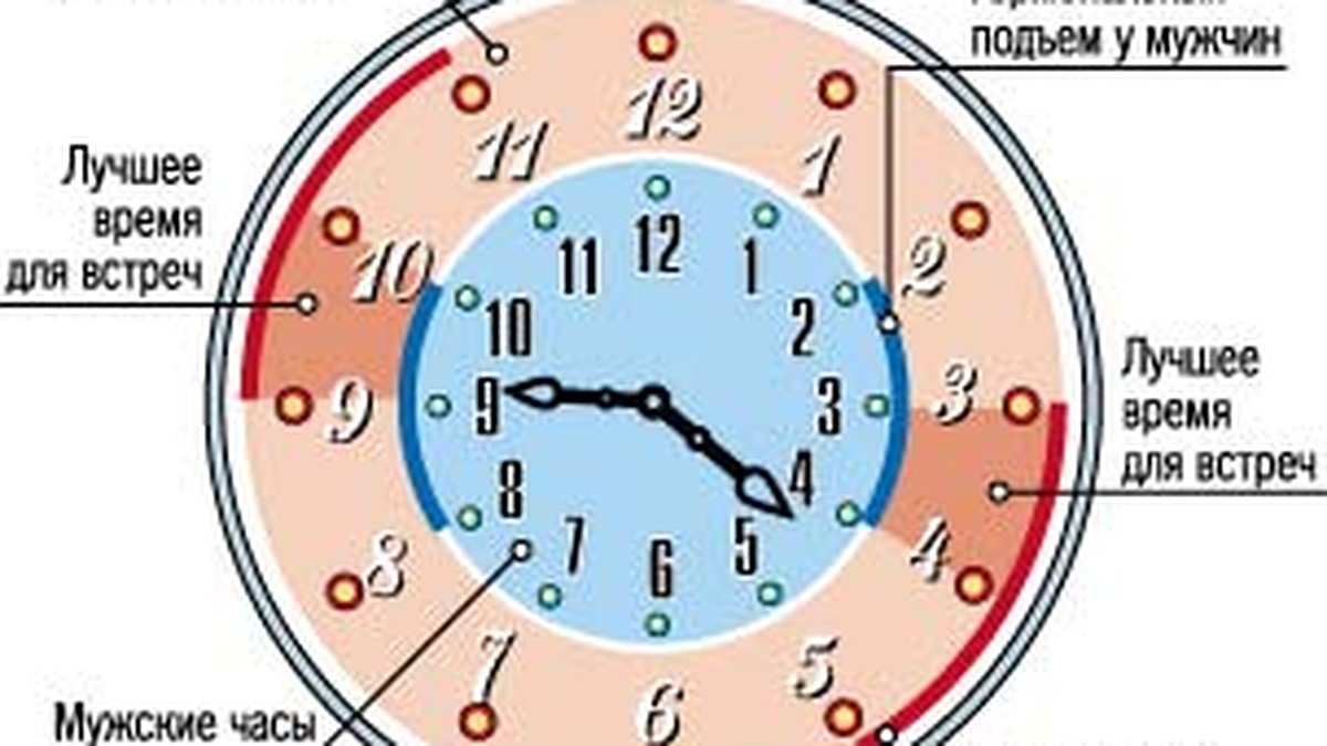 Всегда готов Как не потерять сексуальную активность после 40 лет: Из жизни: be-mad.ru