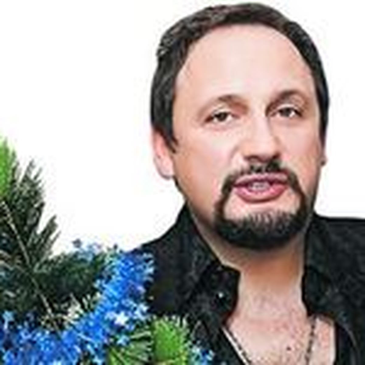Михайлов Новогодняя Ночь Михайлов Новогодняя Ночь
