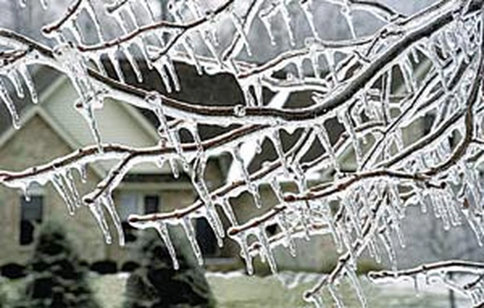 Шутки Снежной королевы смертельно опасны сейчас для сада...