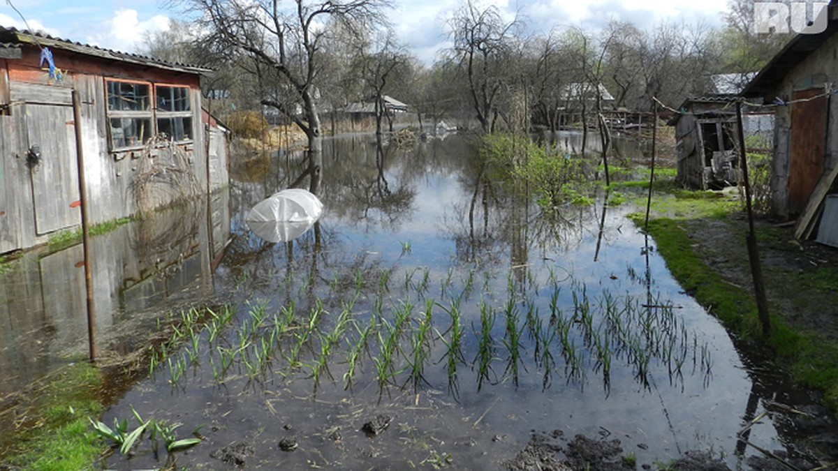 Паводок-2012: В Брянске подтопило больше сотни домов - KP.RU