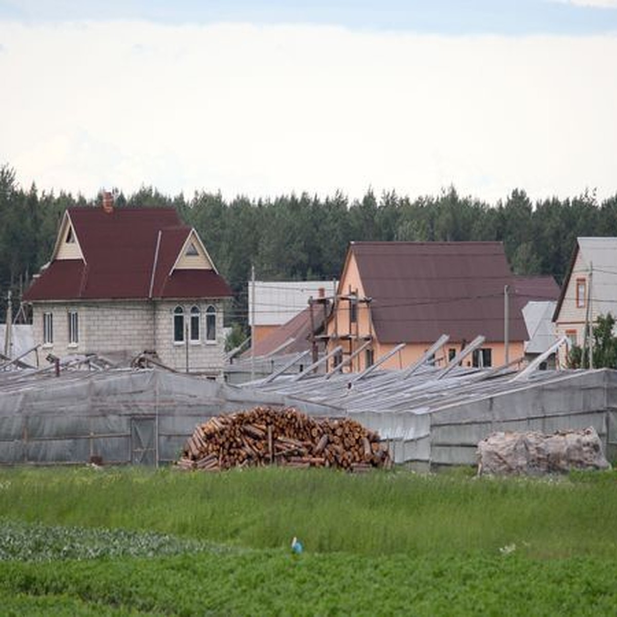 По дороге из Ольшан в Минск огурцы дорожают в три раза - KP.RU