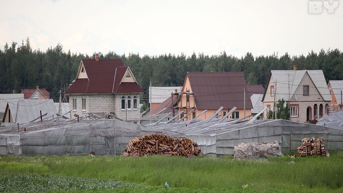 По дороге из Ольшан в Минск огурцы дорожают в три раза - KP.RU