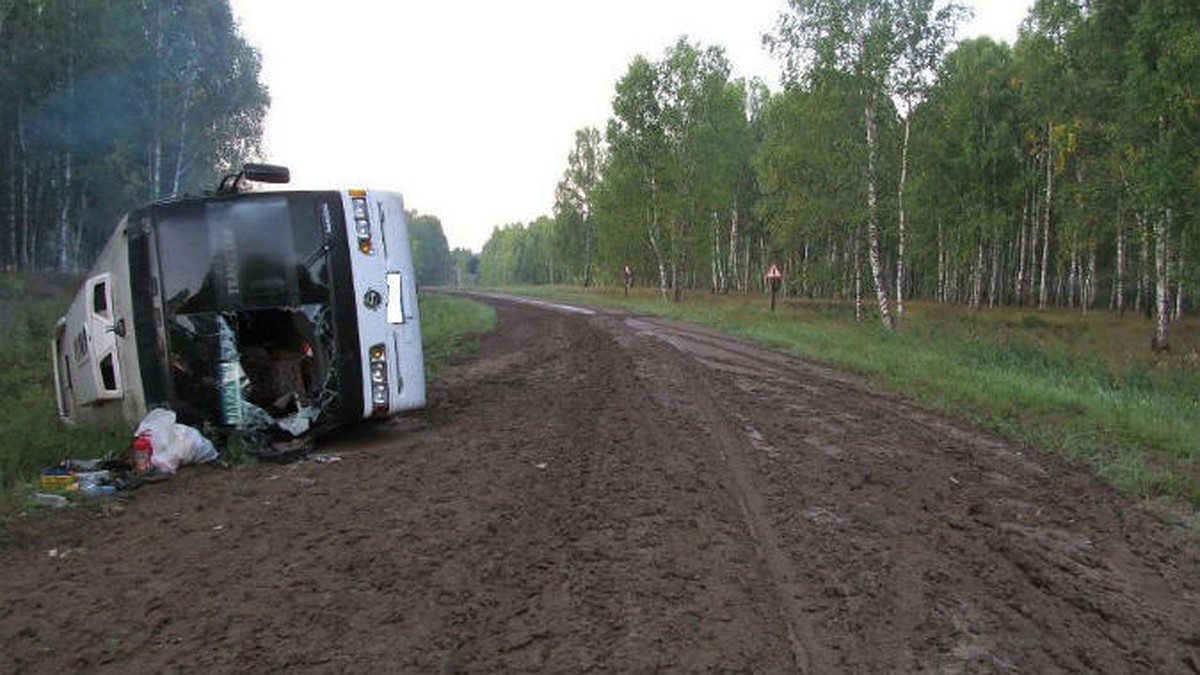 В Омской области опрокинулся автобус с 34 туристами - KP.RU