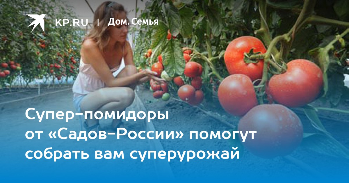 Дочь Владимира Степанова: «Сады России» не умрут — в память об отце мы расширяем производство»