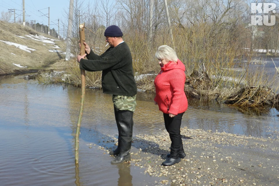 Озеро в радице крыловке брянск