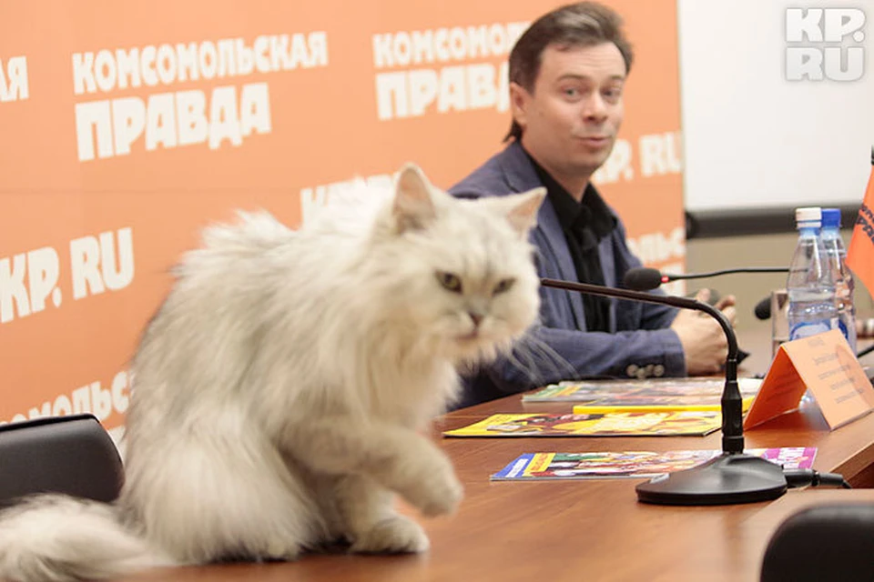 Дмитрий куклачев биография личная жизнь Дмитрий Куклачев: "Кошкам нельзя ничего запрещать" - KP.RU