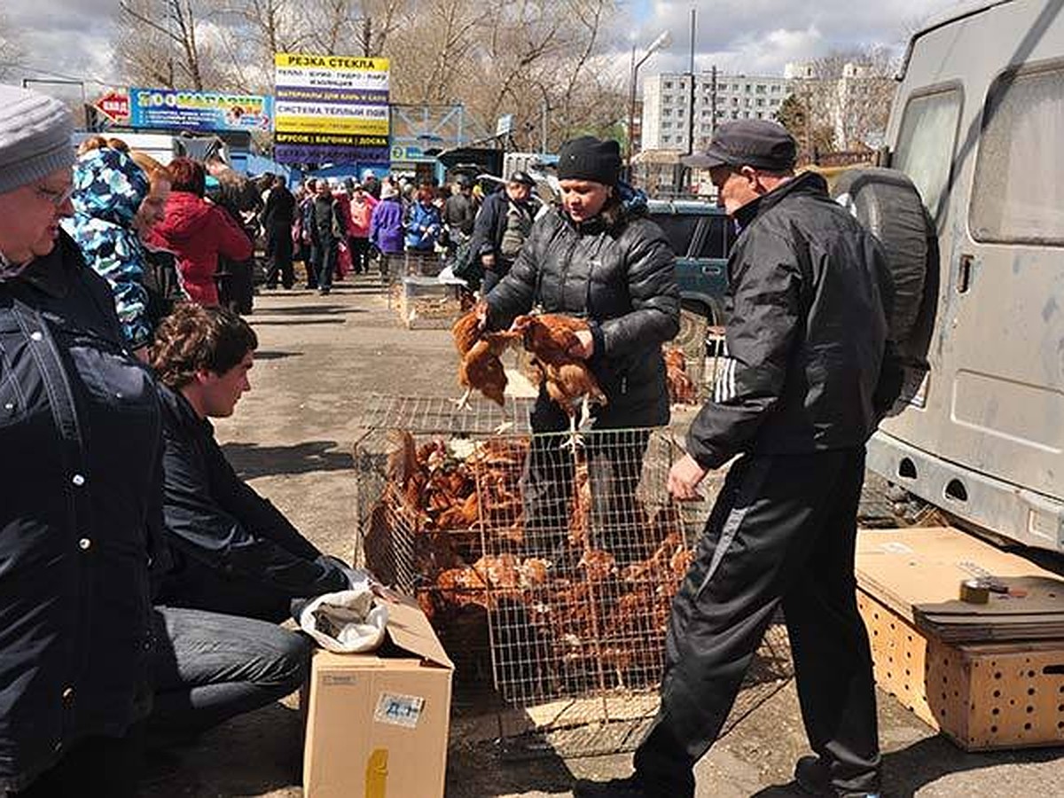 телефон хитрого рынка омск (81) фото