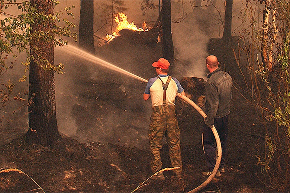 Лето 2010 года запомнилось страшными лесными пожарами.