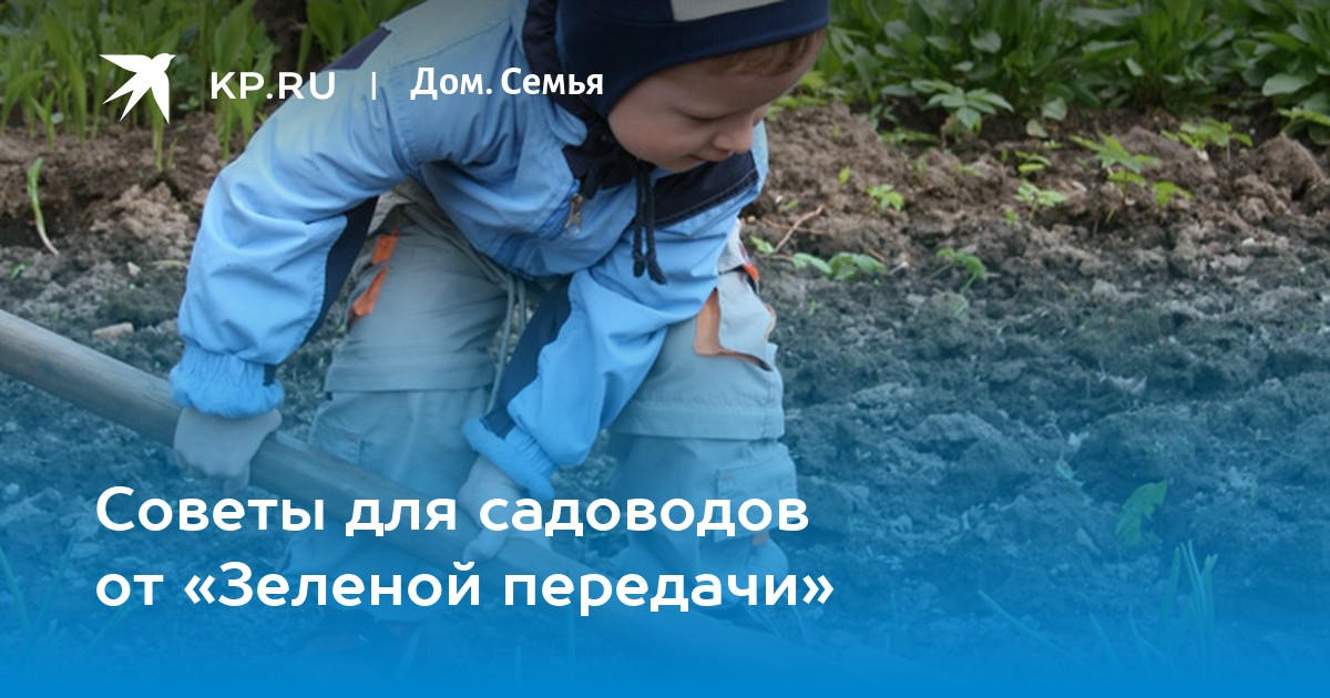 Советы для садоводов от «Зеленой передачи»