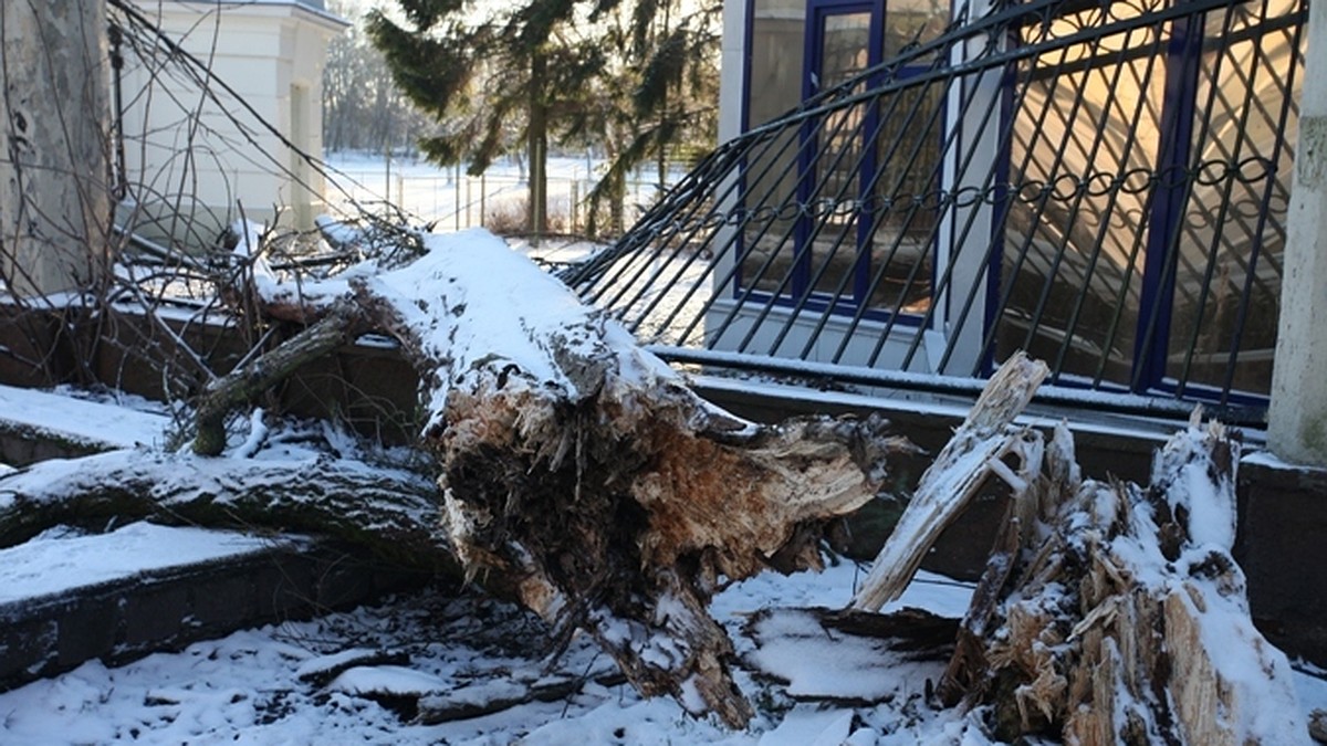 За несколько часов Калининград пережил снегопад, ураган, грозу и наводнение  - KP.RU