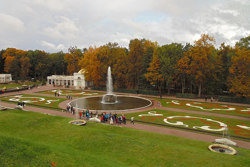 Партерный цветник «Петергоф», Санкт-Петербург, осень 2013 год